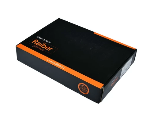 Смеситель для кухни Raiber Graceful RPG-012