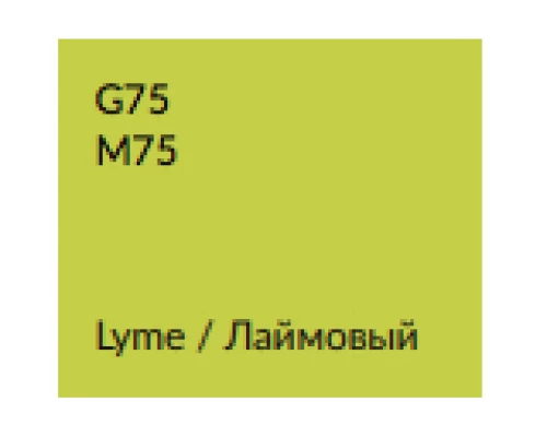 Зеркальный шкаф 65x75 см лаймовый глянец Verona Susan SU601RG75