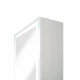 Зеркало-шкаф Allure LED 350х650 правый