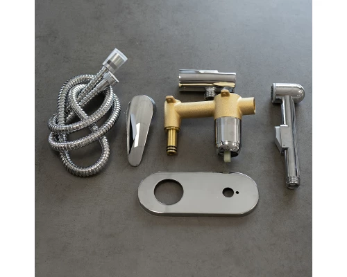 Смеситель Lemark Linara LM0419C с гигиеническим душем, встраиваемый