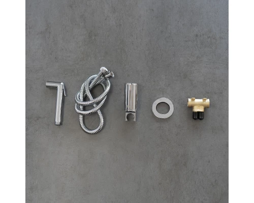 Solo Смеситель для биде, с гигиеническим душем, встраиваемый,  LM7171C