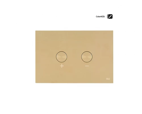 878781 Панель пневм. двойная BLINK, сталь, белое золото, антиванд., OLI