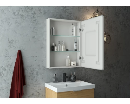 Зеркало-шкаф Emotion LED 500х800