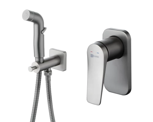 Bronx Смеситель для биде, без излива встраивамемый гигиен.душ,р/ОД, графит, LM, LM3719GM