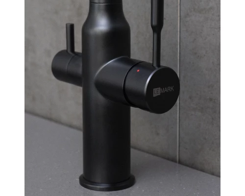 Expert Смеситель для кухни, с гибким изливом, с подключением к фильтру питьевой воды, черный