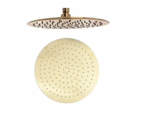 Лейка тропического душа из нержавеющей стали HIDROTERAPIA RM250OC золото брашированное