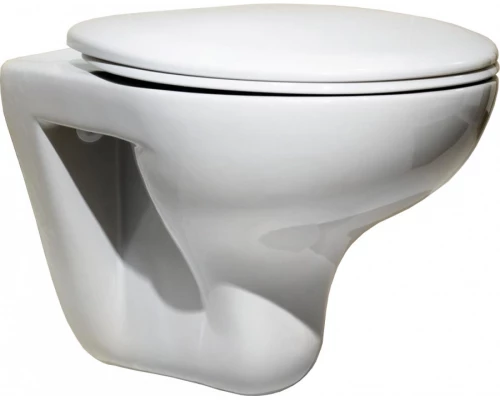 MATEO Сиденье и крышка для унитаза, полипропилен., метал. крепления, белое. ROCA