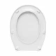 БРИЗ Сиденье для унитаза СУ 64.07.80 (полипропилен) с пласт. крепл. САНТЕК 