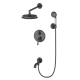 Душевая система встраиваемая WONZON & WOGHAND STEAM, Темный графит (WW-88939008-BGM)