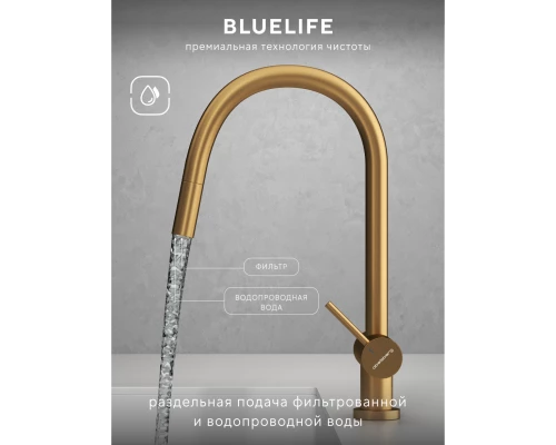 Смеситель д/кухни Abelsberg Aera EMF71709BG c вытяжным изливом и фильтром д/воды, цвет королевское золото