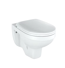 РИО Люкс Унитаз подвесной с сид. soft-close ROSA