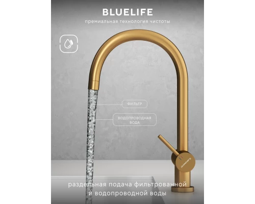 Смеситель д/кухни Abelsberg Aera AWF70029BG с фильтром д/воды, цвет королевское золото