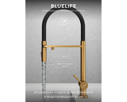 Смеситель д/кухни Abelsberg Venta IXF73979BG c гибким изливом и фильтром д/воды, цвет королевское золото