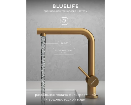 Смеситель д/кухни Abelsberg Pura OTF70709BG c вытяжным изливом и фильтром д/воды, цвет королевское золото