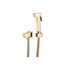 2039-Е SET Комплект ЗОЛОТО для биде  (КВАД) GANZER