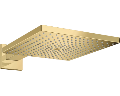 Верхний душ Hansgrohe Raindance 26238990, 300 х 300 мм, 1 режим струи, с держателем, золото