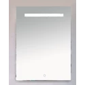 Зеркало Misty 1 Неон - Зеркало LED600х800 сенсор на зеркале(прямоугольное) П-Нео060080-1ПРСНЗ