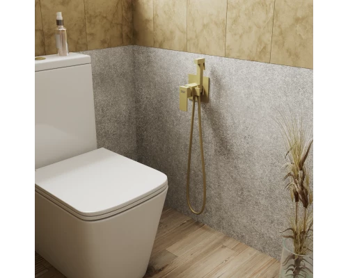 Смеситель для душа DK с гигиеническим душем встраиваемый матовое золото Bayern.Liszt (DA1514507)