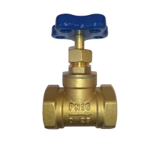 Клапан (вентиль) запорный RM 1 ВР-ВР муфтовый укор. Ду25 Ру16